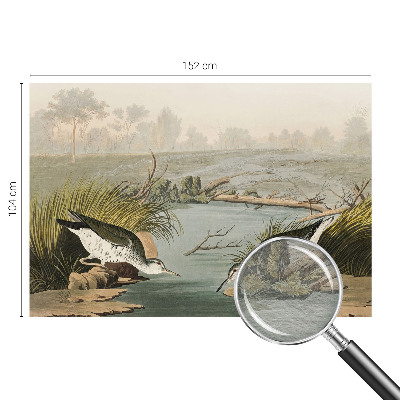 Fototapeta Mirna pokrajina