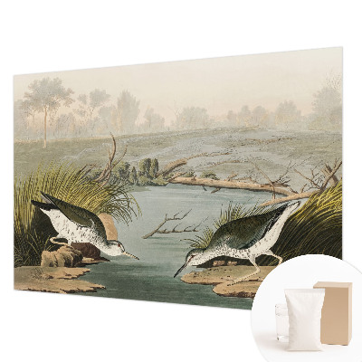 Fototapeta Mirna pokrajina