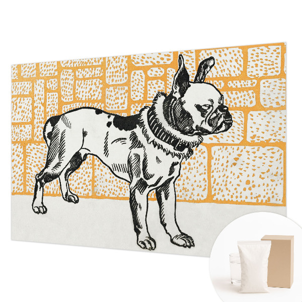 Moderna fototapeta Retro pes