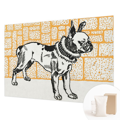 Moderna fototapeta Retro pes