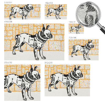 Moderna fototapeta Retro pes