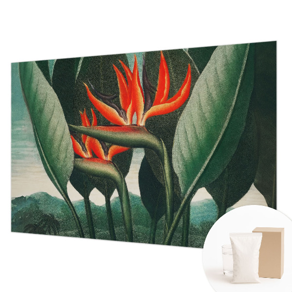 Flis fototapeta Eksotično cvetje