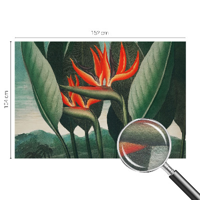 Flis fototapeta Eksotično cvetje