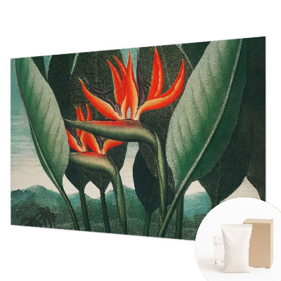 Flis fototapeta Eksotično cvetje