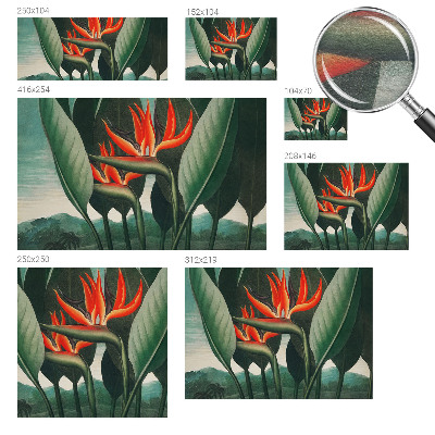 Flis fototapeta Eksotično cvetje