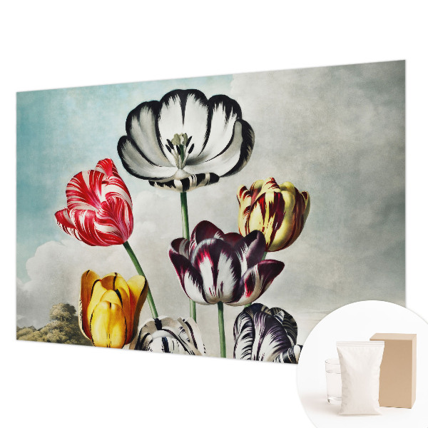 Fototapeta z motivom barvitih tulipanov