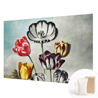 Fototapeta z motivom barvitih tulipanov