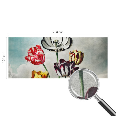 Fototapeta Barviti tulipani