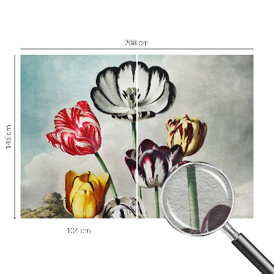 Fototapeta z motivom barvitih tulipanov