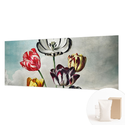 Fototapeta Barviti tulipani