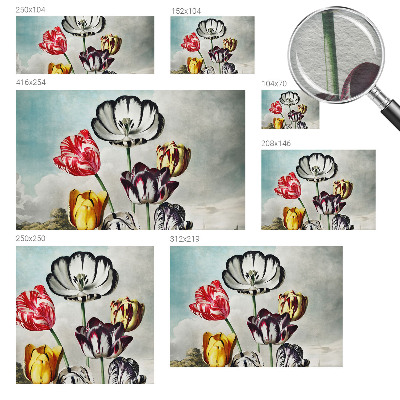 Fototapeta Barviti tulipani
