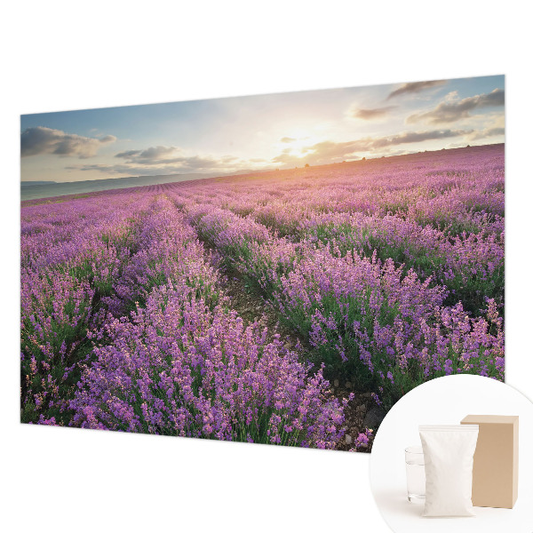 Fototapeta Polja sivke