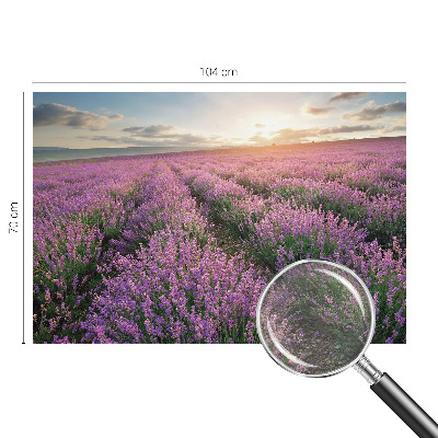 Fototapeta Polja sivke