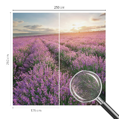 Fototapeta Polja sivke