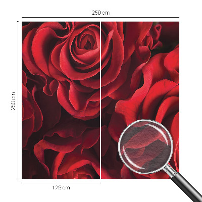 Foto tapeta z motivom rdečih vrtnic