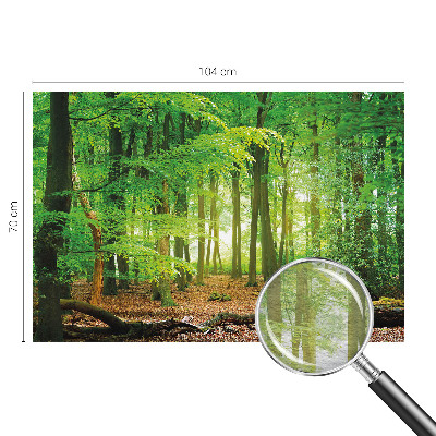 Flis fototapeta z zelenim motivom gozda