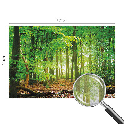 Flis fototapeta z zelenim motivom gozda