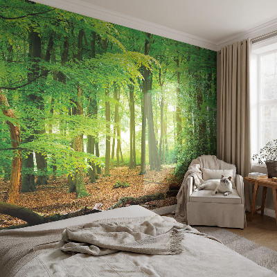 Flis fototapeta z zelenim motivom gozda
