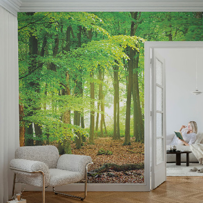 Flis fototapeta Zeleni gozd