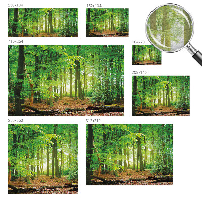 Flis fototapeta z zelenim motivom gozda