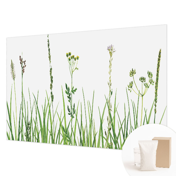 Stenska fototapeta flis z motivom subtilne flore