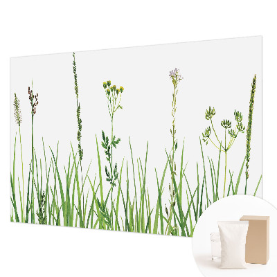 Stenska fototapeta flis z motivom subtilne flore