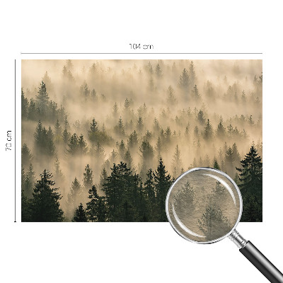 Fototapeta za dnevno sobo z motivom gozdne megle