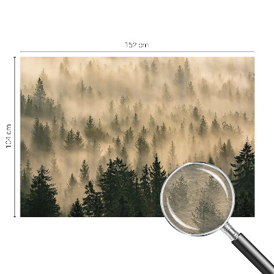 Fototapeta za dnevno sobo Gozdna megla