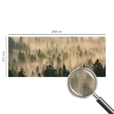 Fototapeta za dnevno sobo Gozdna megla