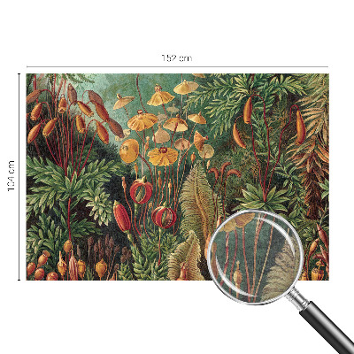 Fototapeta za spalnico Eksotični vrt