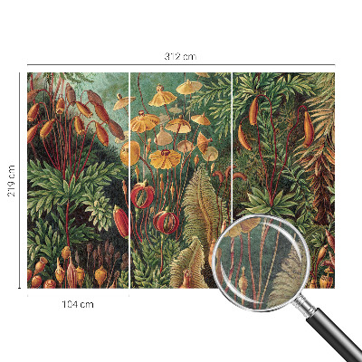 Fototapeta za spalnico Eksotični vrt