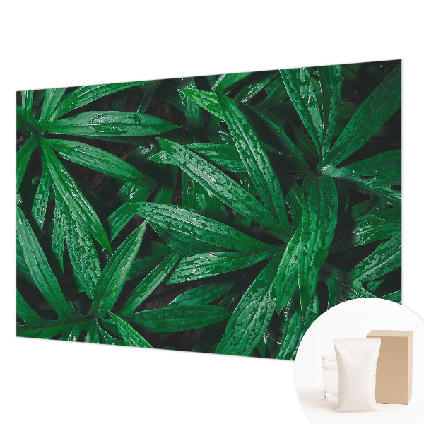 Fototapeta za dnevno sobo Naravno zelenje