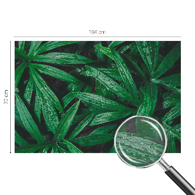 Fototapeta za dnevno sobo Naravno zelenje