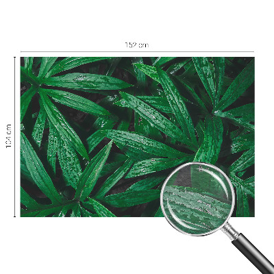 Fototapeta za dnevno sobo z motivom naravnega zelenja