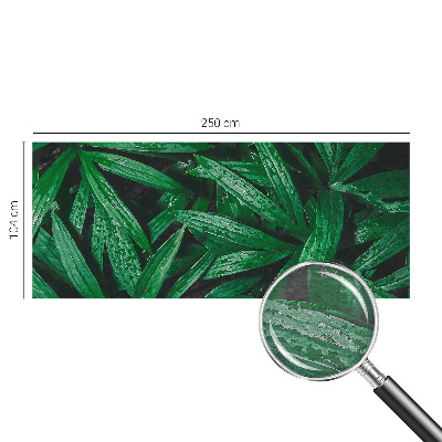 Fototapeta za dnevno sobo Naravno zelenje