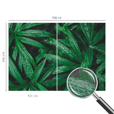 Fototapeta za dnevno sobo Naravno zelenje