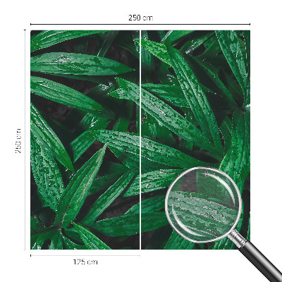 Fototapeta za dnevno sobo Naravno zelenje