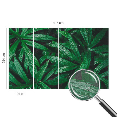 Fototapeta za dnevno sobo Naravno zelenje