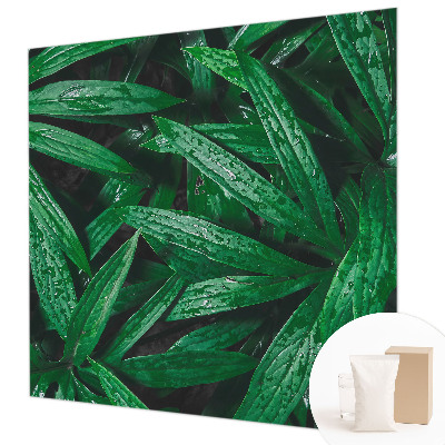 Fototapeta za dnevno sobo Naravno zelenje