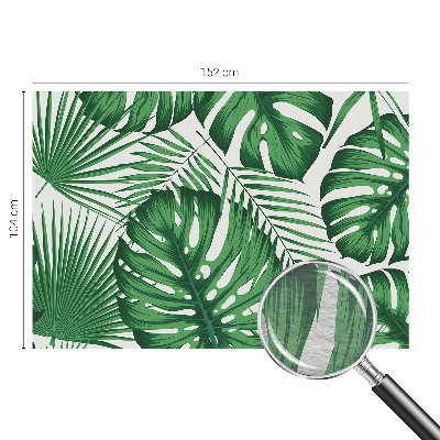 Netkana fototapeta Tropski listi