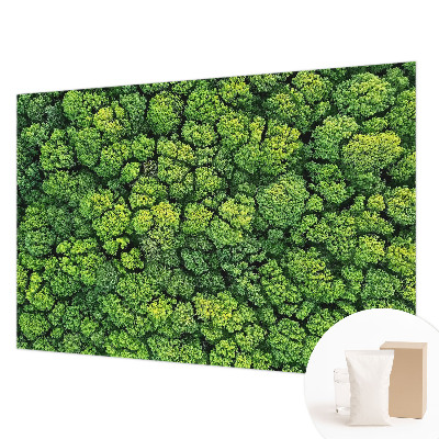 Fototapeta po meri z motivom gozdne panorame po meri