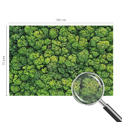 Fototapeta po meri Gozdna panorama
