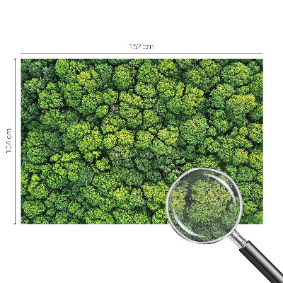 Fototapeta po meri Gozdna panorama