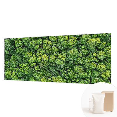 Fototapeta po meri Gozdna panorama