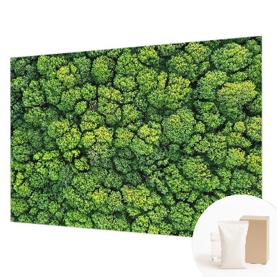 Fototapeta po meri z motivom gozdne panorame po meri