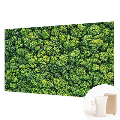 Fototapeta po meri Gozdna panorama