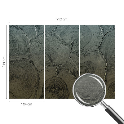 Tiskana fototapeta flis Leseni obroči