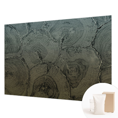 Tiskana fototapeta flis Leseni obroči