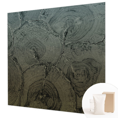 Tiskana fototapeta flis Leseni obroči