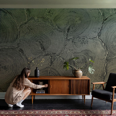 Tiskana fototapeta flis Leseni obroči